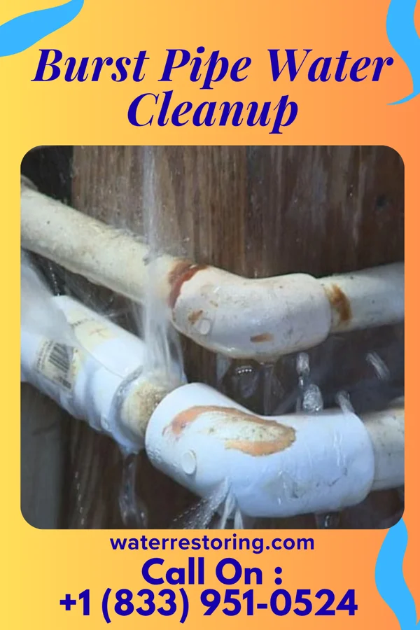 Burst Pipe Water Cleanup in Williston, TN