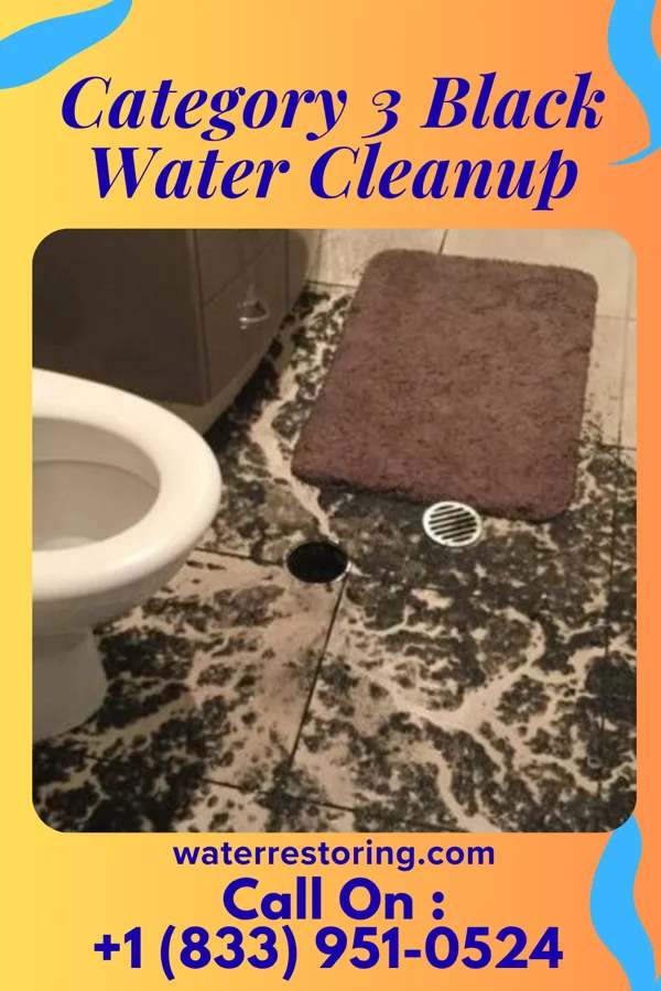 Category 3 Black Water Cleanup in Williston, TN