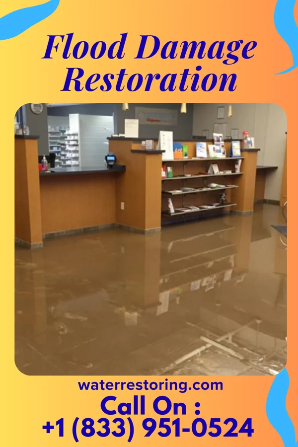 Flood Damage Restoration in Williston, TN