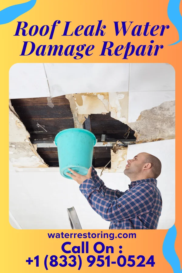 Roof Leak Water Damage Repair in Williston, TN