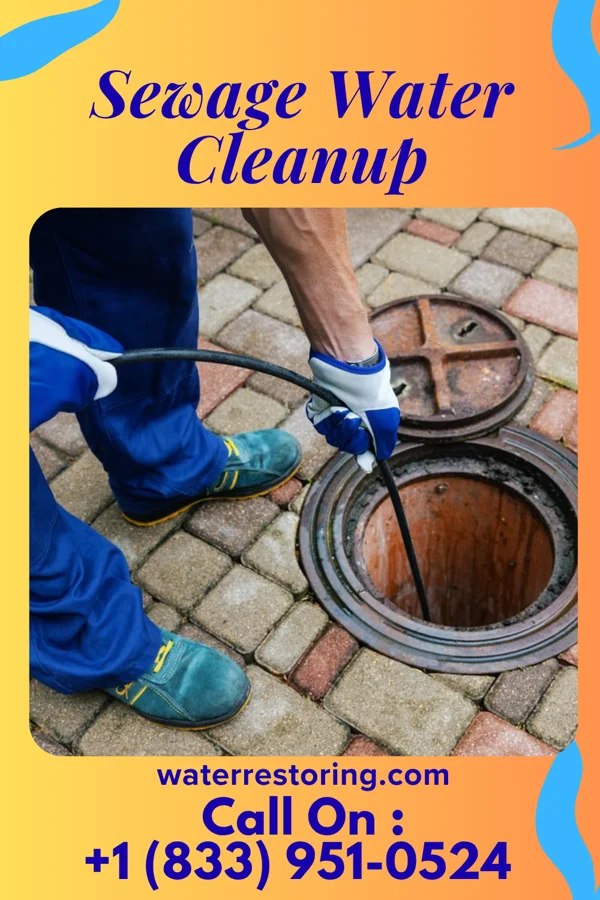 Sewage Water Cleanup in Williston, TN
