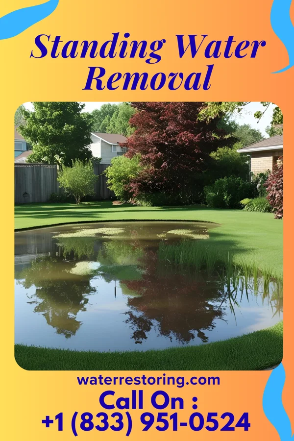 Standing Water Removal in Williston, TN